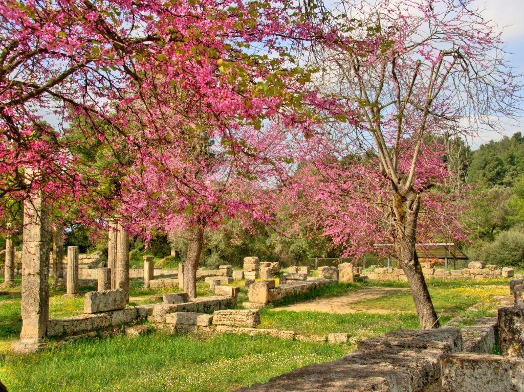 Krstarenje do Egipta brodom MSC Lirica iz Splita - 2026.