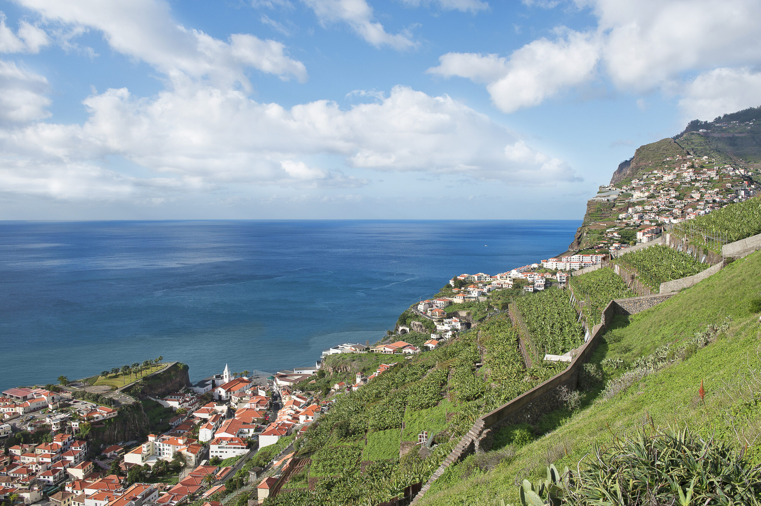 Krstarenje Kanarski otoci i Madeira - MSC Musica - 2025/2026.