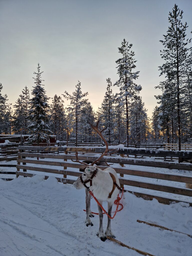 ROVANIEMI 3 dana - posebnim zrakoplovom iz Zagreba
