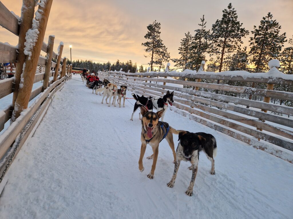 rovaniemi