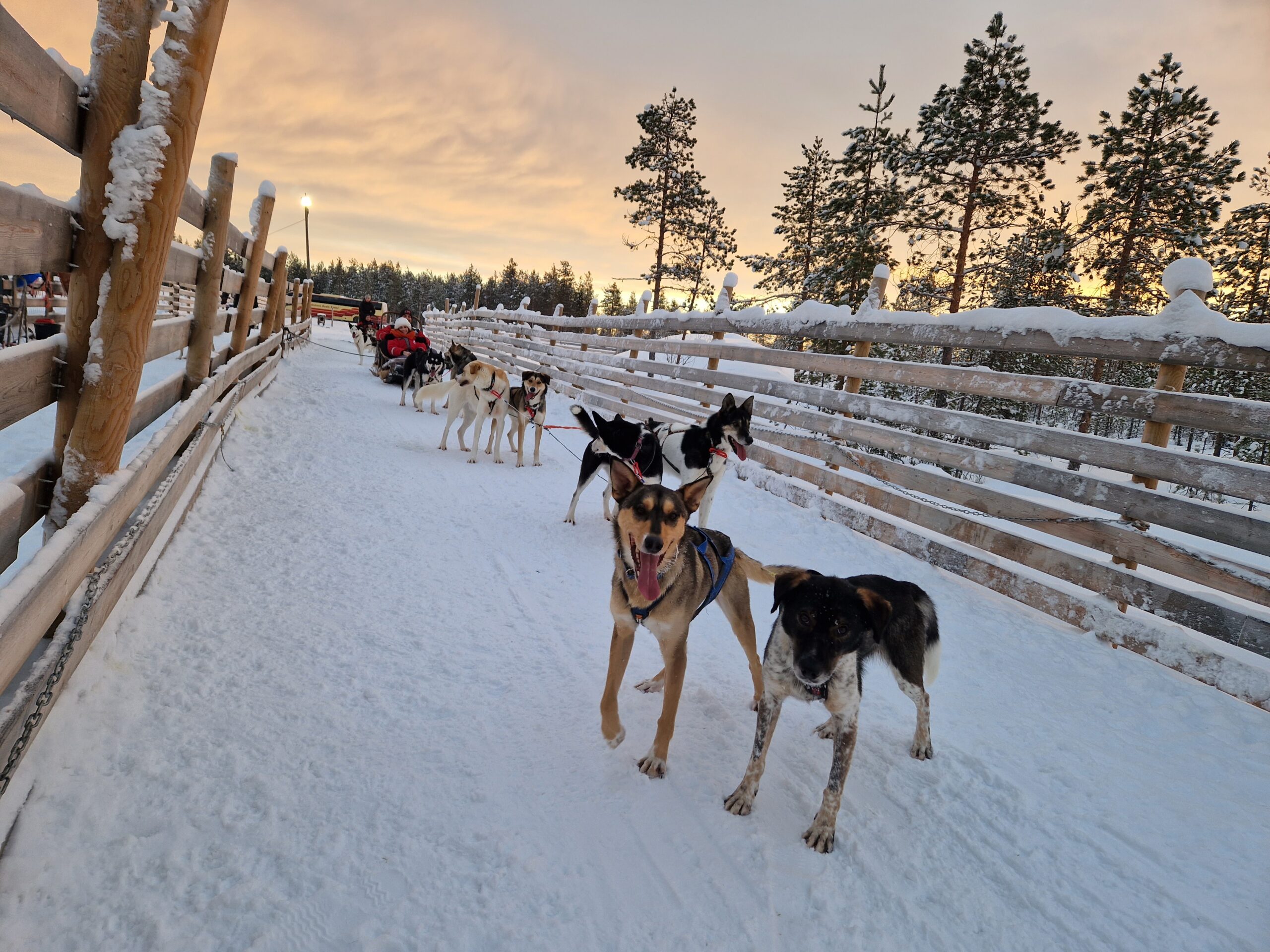 rovaniemi