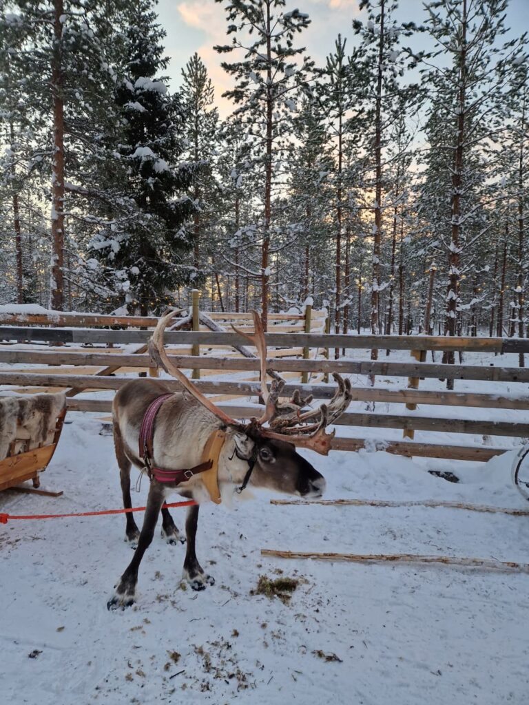 ROVANIEMI 3 dana - posebnim zrakoplovom iz Zagreba
