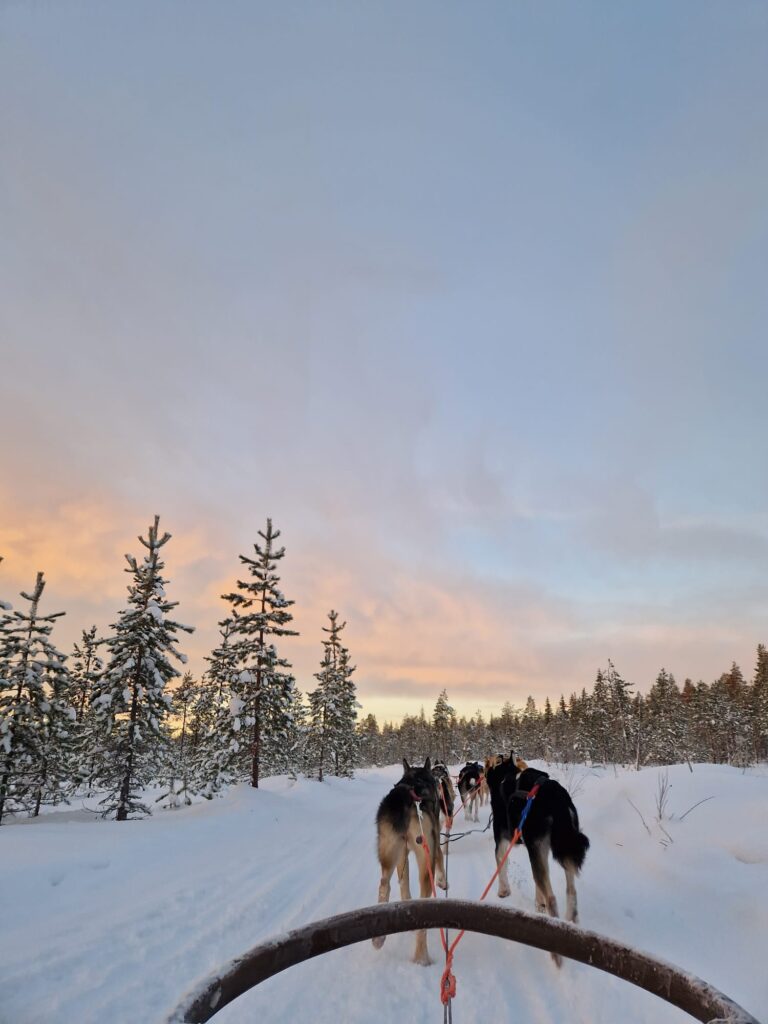 ROVANIEMI 3 dana - posebnim zrakoplovom iz Zagreba
