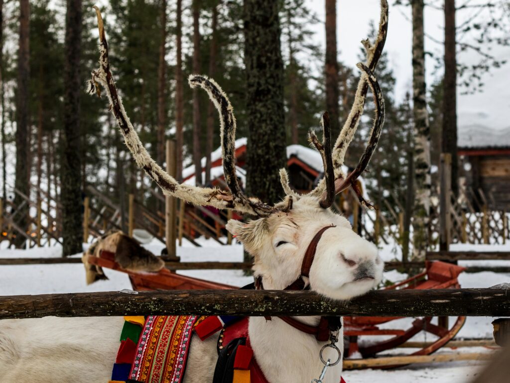 ROVANIEMI 3 dana - posebnim zrakoplovom iz Zagreba