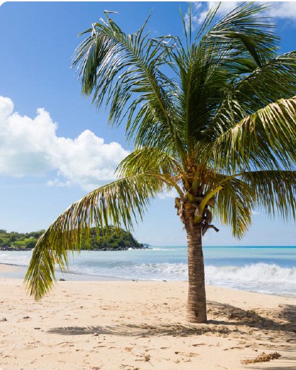 Karipsko luksuzno krstarenje brodom Explora I San Juan – Miami 2027.